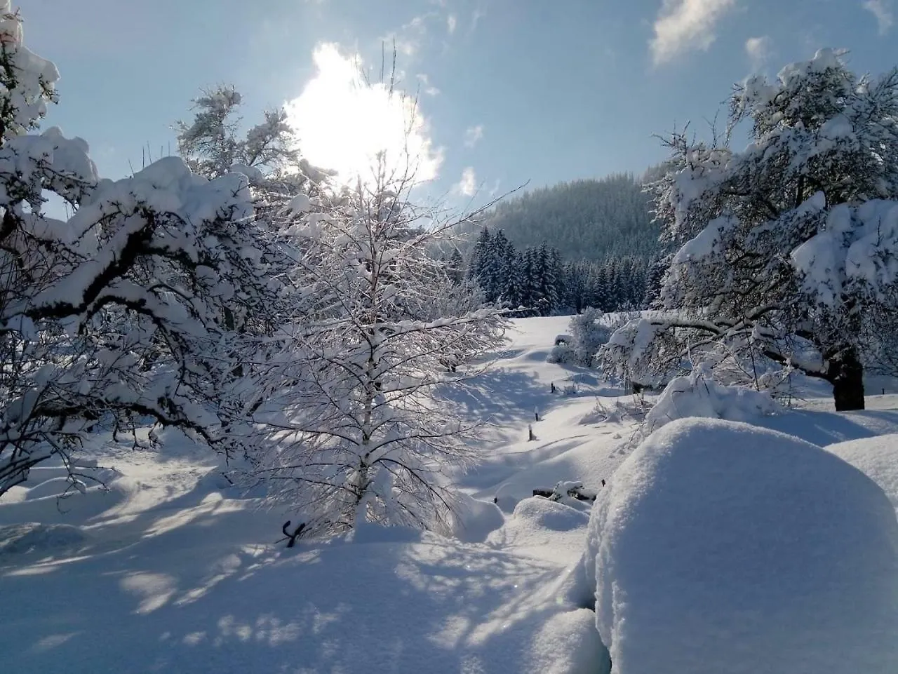 Ferienhof Am Holderbusch Füssen 0*,  Németország