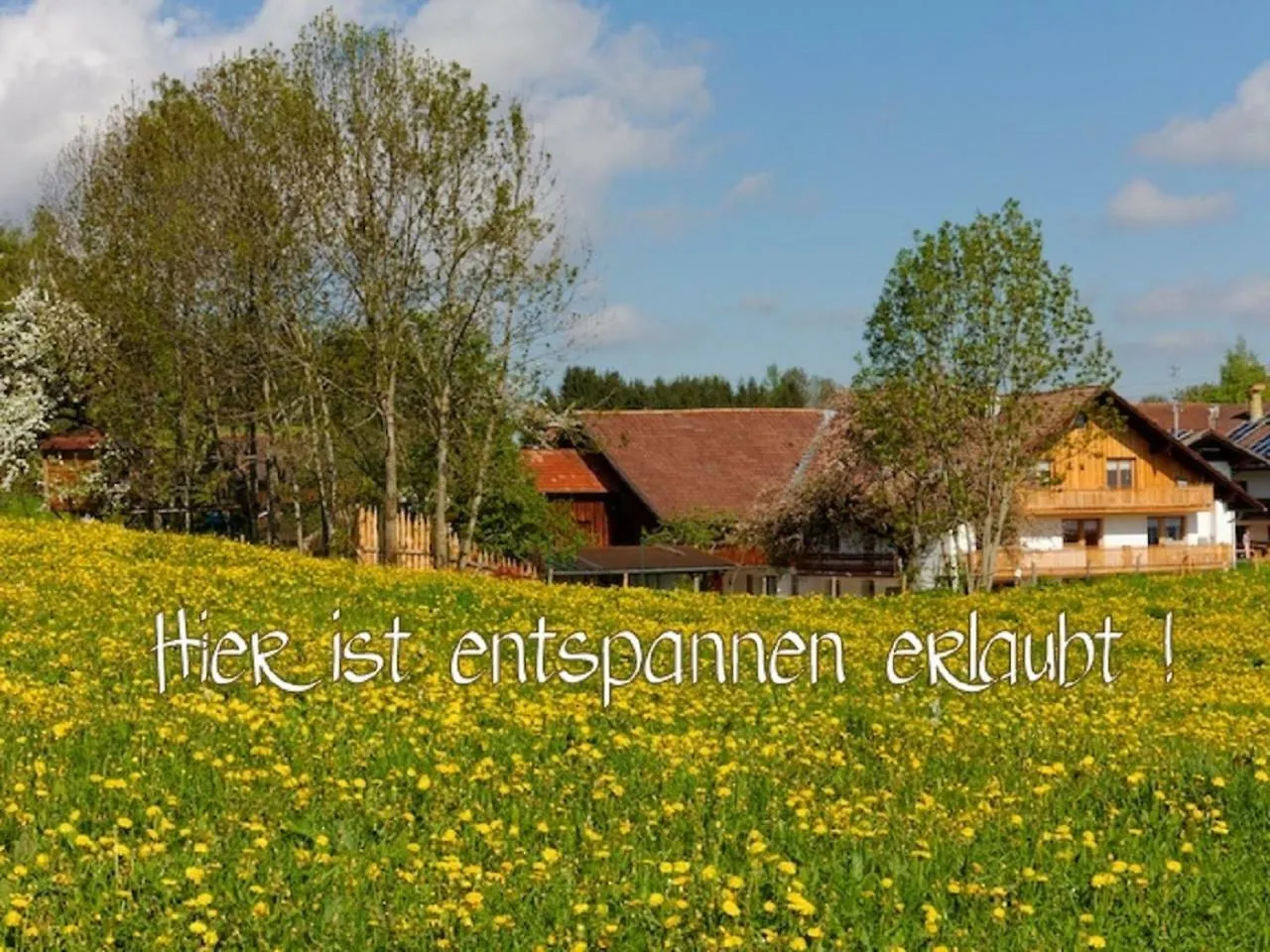 Ferienhof Am Holderbusch Fussen Apartment